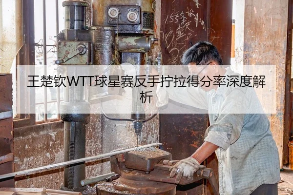王楚钦WTT球星赛反手拧拉得分率深度解析